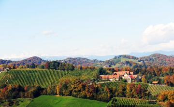 Sattlerhof Genießerhotel & Weingut