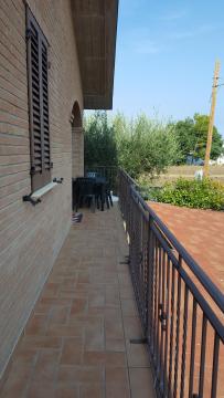 Tulipano B&B