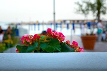 MARINELLA CASA VACANZE