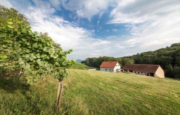 Schwalbennest Pongratz