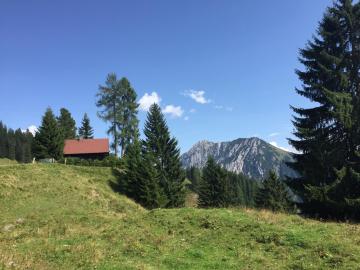 Jagdhütte Gammeringalm