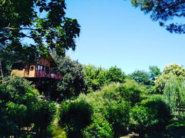 Casa sull'Albero Awen - Casa Vacanze