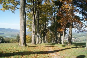 Chalet Horní Orlice
