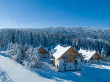 Ski Chalet Klínovec