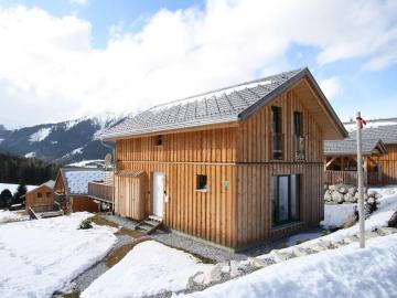 Lavish Wooded Chalet with Sauna bubble bath in Hohentauern
