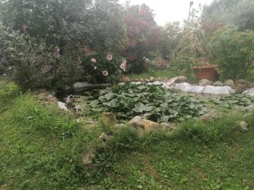 Casa delle Rose Agave