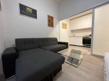 Vintage Apartment Ostrava center city