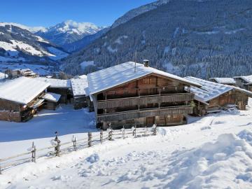 Chalet Lippnerhütte - LNH120