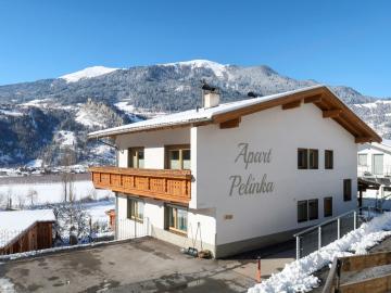 Apartment Pelinka - PTZ201