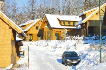 Holiday village Schlierbach - OBS01500-FYB