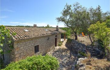 Ulivo