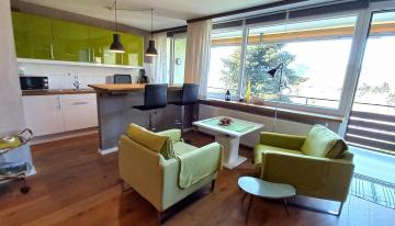 Seeblick Appartement Michi direkt am Ossiacher See Haus Erzherzog Johann