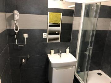 Apartmans in the center with privat parking