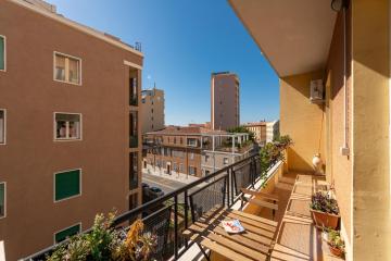 Domus Mea