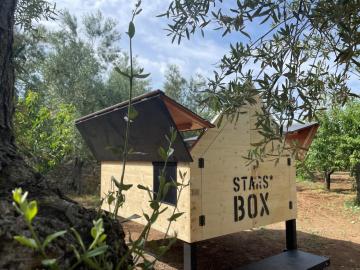 #StarsBoxtragliulivi