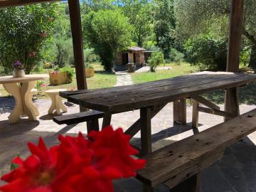 Casa tipica indipendente in oliveta biologica, I Due Guadi