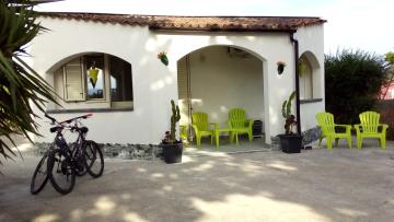 CASA CACTUS T&C