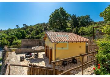 Casalino Giallo