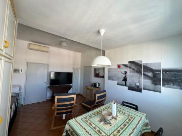 Freedom Apartment