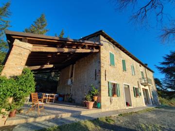 B&B Demetra