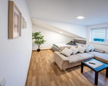 Spacious, Newly renovated Apartment close to Vienna