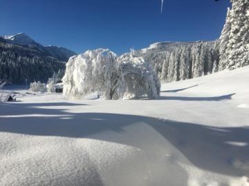 Fewo 1 am Auweg