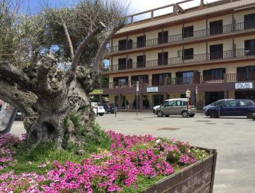 B&b Sulis