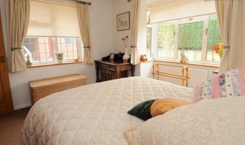 Hopewell self-catering