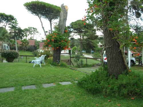 una gran zona de césped con un árbol y arbustos en la Lomita Gesell de Villa Gesell