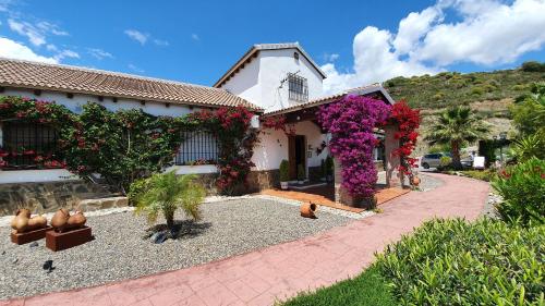 Bed & Breakfast | Guest House Casa Don Carlos ⭐⭐⭐