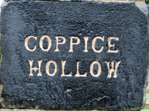 Coppice Hollow