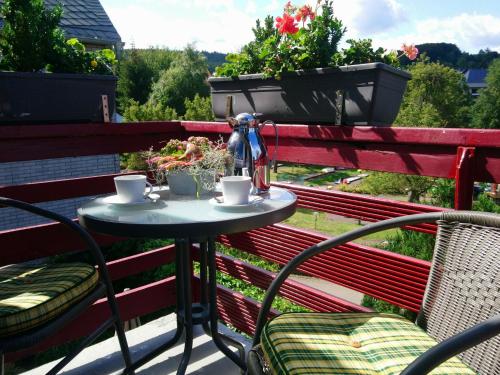 Modern apartment on the first floor near Willingen with private south west facing balcony