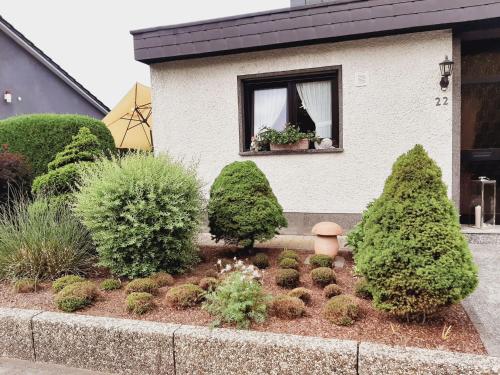 Relaxing apartment in Speicher with furnished garden