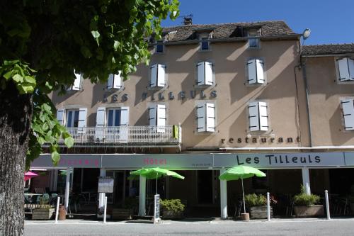 Hôtel Les Tilleuls de Pareloup à Salles-Curan
