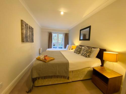Stylish Apartments in Victoria & Westminster