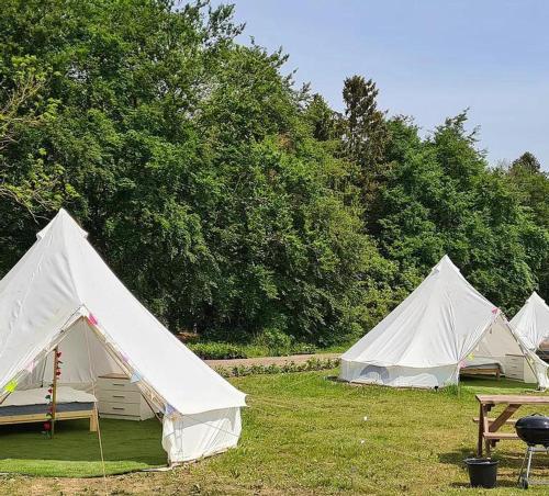 4 Meter Bell Tent - Up to 4 Persons Glamping 11