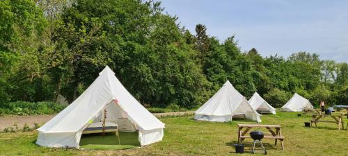 4 Meter Bell Tent - Up to 4 Persons Glamping 12