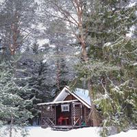 Гостевой дом Алавойне, отель в Ильинском