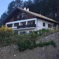 Tra il bosco e il lago