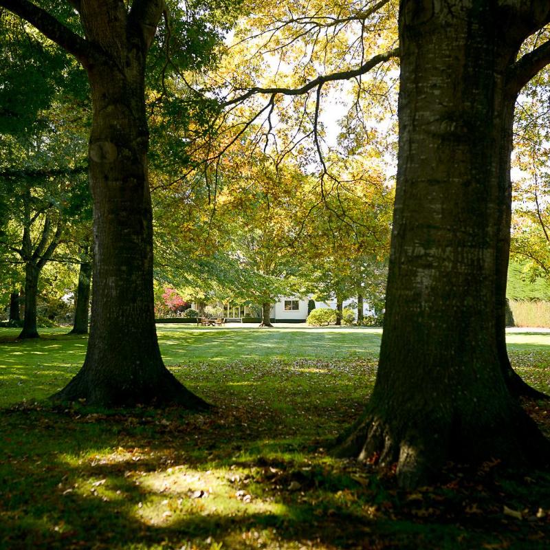 Silverstream Lodge