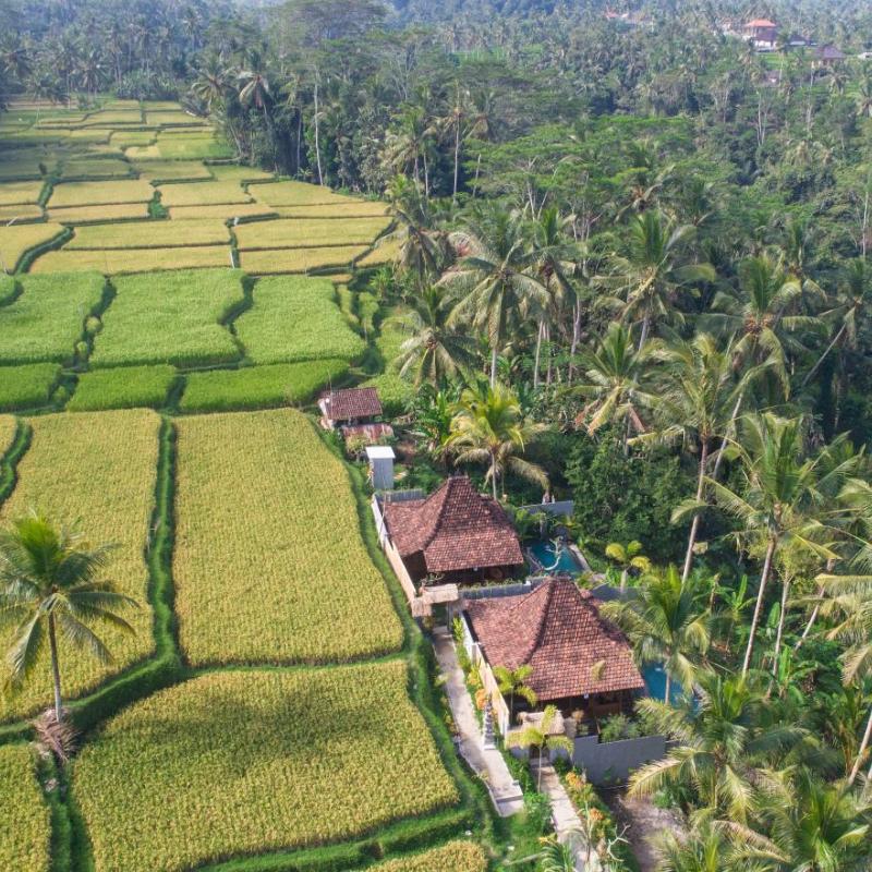 Mandana Ubud Villa