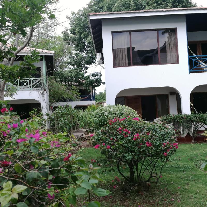 Ltu Garden