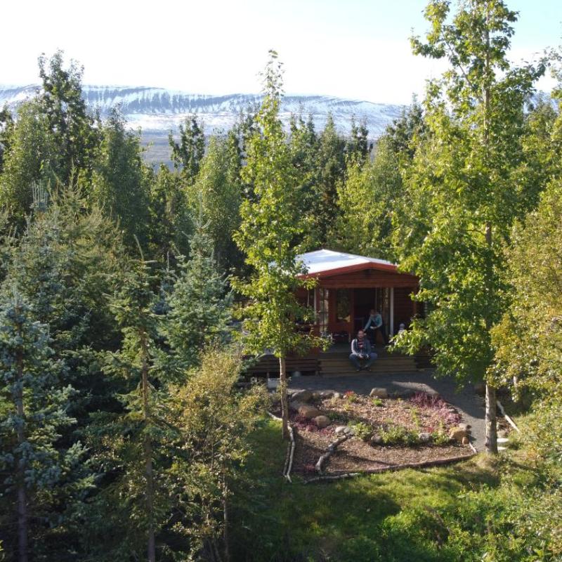 Bakkakot 1 - Cozy Cabins in the Woods