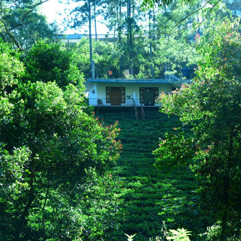 Green Wood Hotel