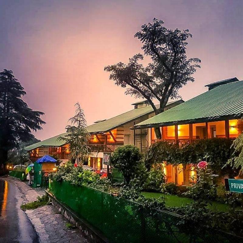 Lamrin Norwood Green Palampur