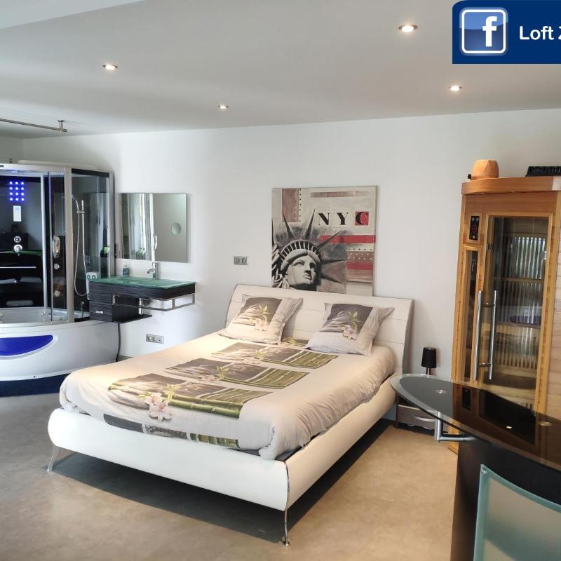 Agen Loft Zen Balneo Jets de massage Sauna Hammam Billard