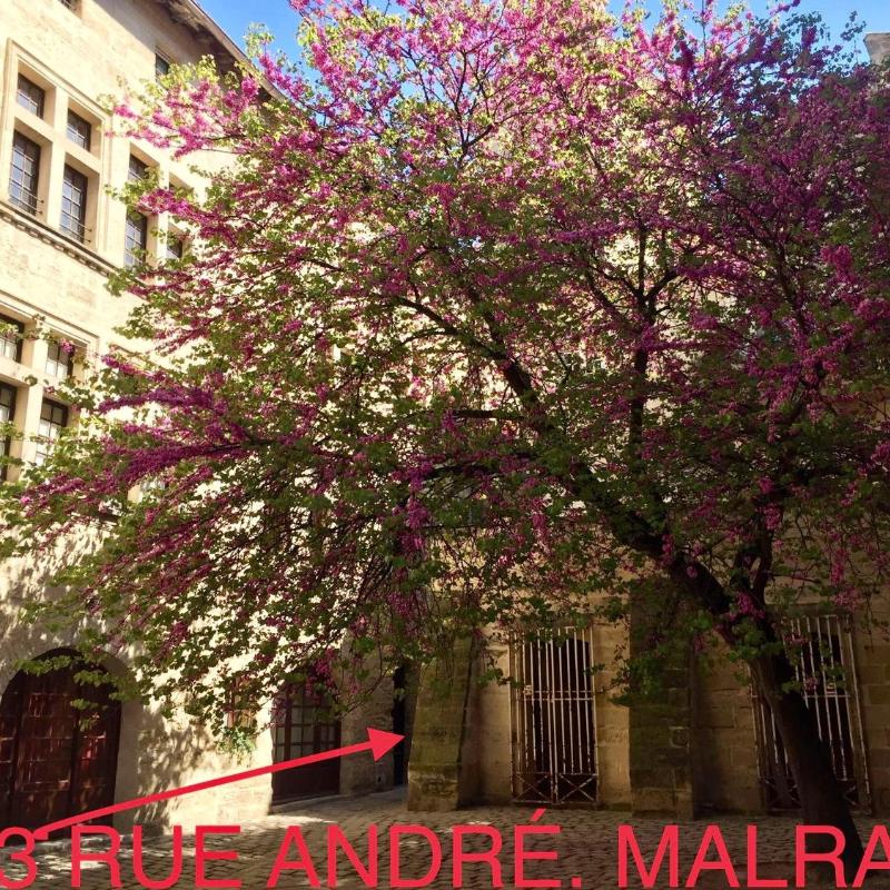 appartement a 50 m de la place aux herbes