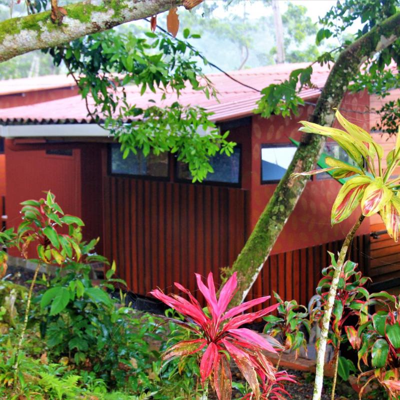Casitas Eco Bambú