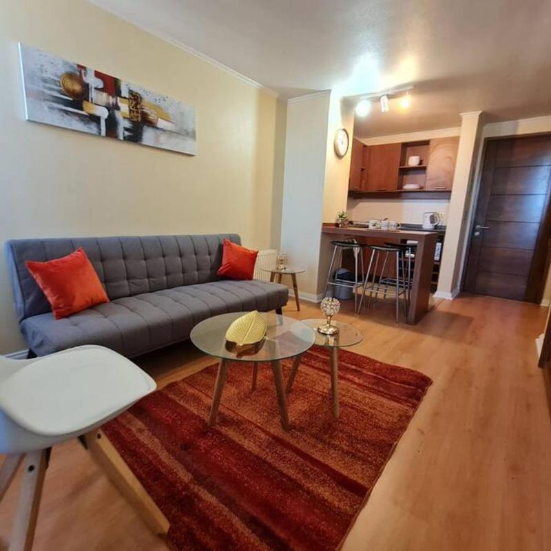 APARTAMENTO AMOBLADO CONCEPCION