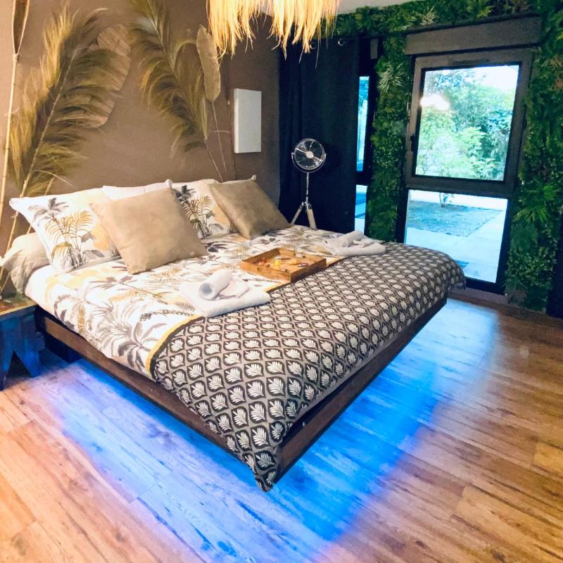 LE JUNGLE appartement en plein cœur de NIMES